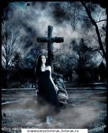 cool pics!!!! - dark_mind - Fun stuffs