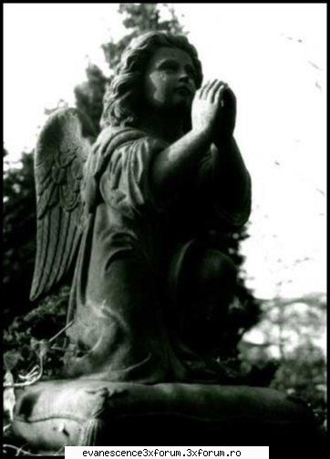 cool pics!!!! - dark_mind - Fun stuffs