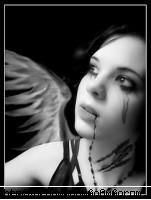 cool pics!!!!