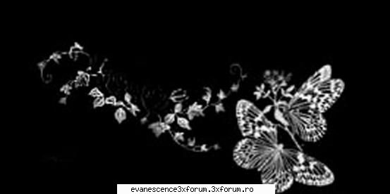 cool pics!!!! - dark_mind - Fun stuffs