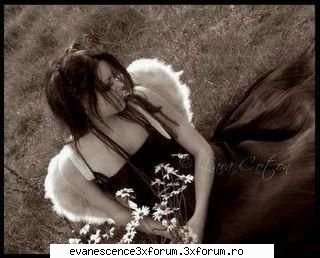 cool pics!!!! - dark_mind - Fun stuffs